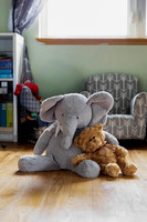Baby Teddy Belly shoot Sept 3rd